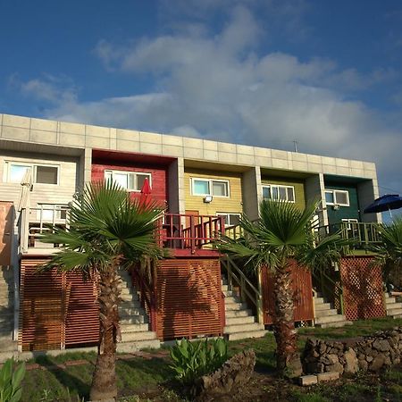 Clover B&B Seogwipo Dış mekan fotoğraf